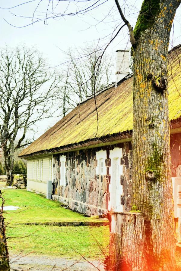 Vanatoa Taluhotell Koguva Eksteriør billede